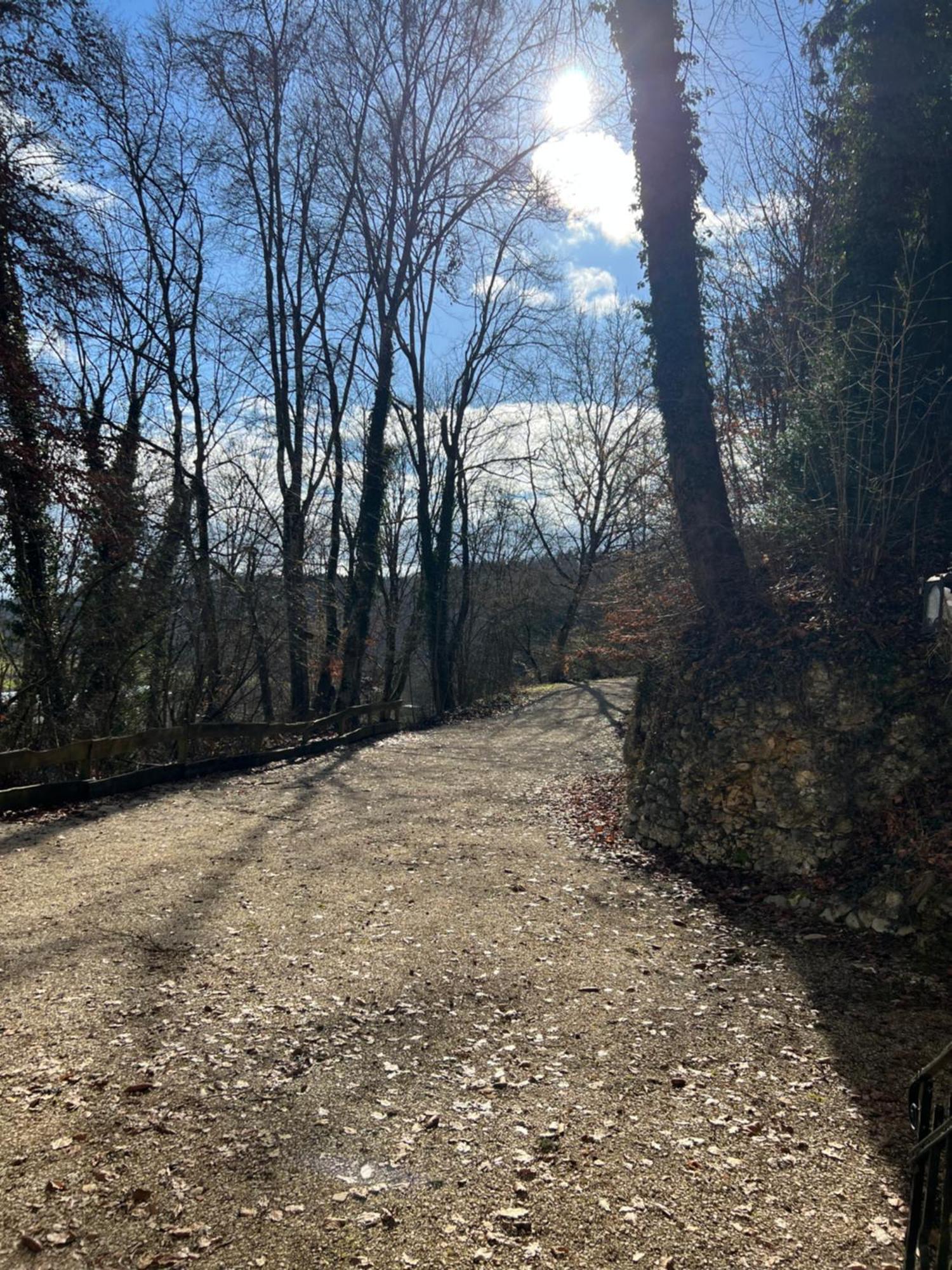 Schloss Suggenstein Sigmaringen Eksteriør billede